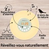 image:imageLexibook RL998 Decotech Sunrise Colour Alarm Clock Wakeup Light FM Radio Bedside Lamp Sunrise and Sunset Simulation 6 Natural Sounds Snooze Night Light Colours White One Size