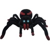 image:imageLEXiBOOK RC Tarantula Spider SPIDER01