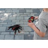 image:imageLEXiBOOK RC Tarantula Spider SPIDER01