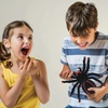 image:imageLEXiBOOK RC Tarantula Spider SPIDER01