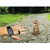 image:imageLEXiBOOK RC Tyrannosaurus Control Dinosaur DINO02